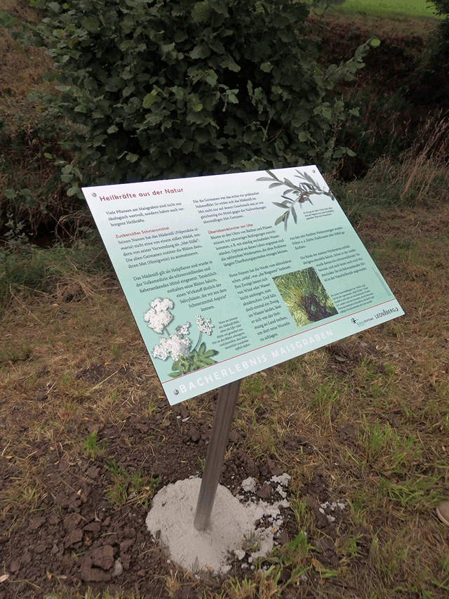 Schautafel Bacherlebnispfad Maisgraben