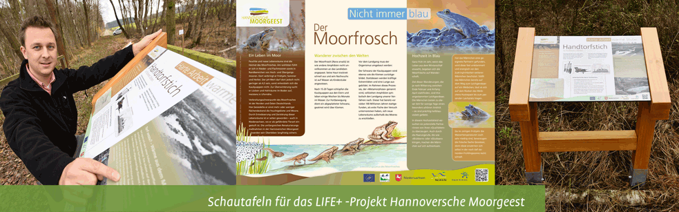 themenbild-Hannoversche-Moorgeest